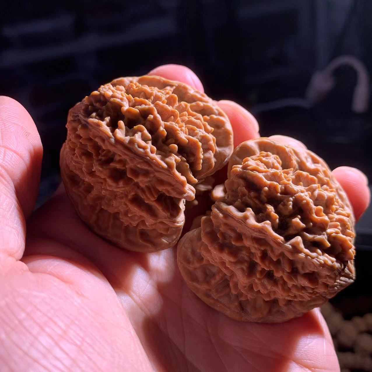 【满天星】文玩核桃毕业核桃全品精品高端（不备注尺寸）