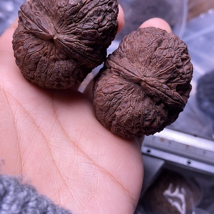 文玩核桃吊坠   63