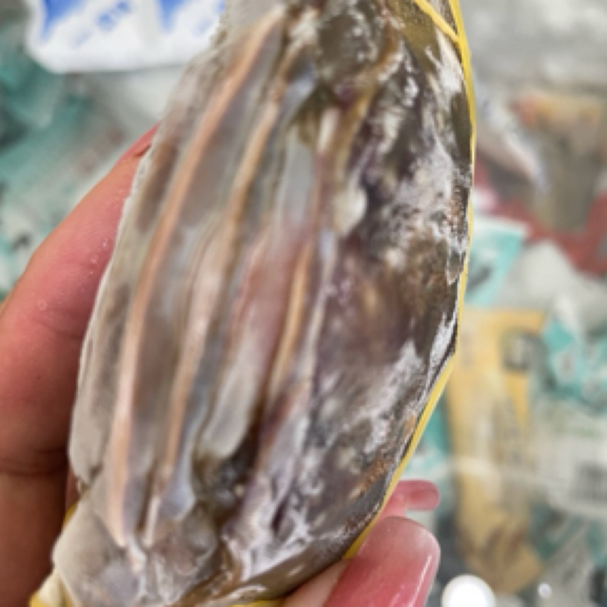 舟山飞机红膏蟹6只装