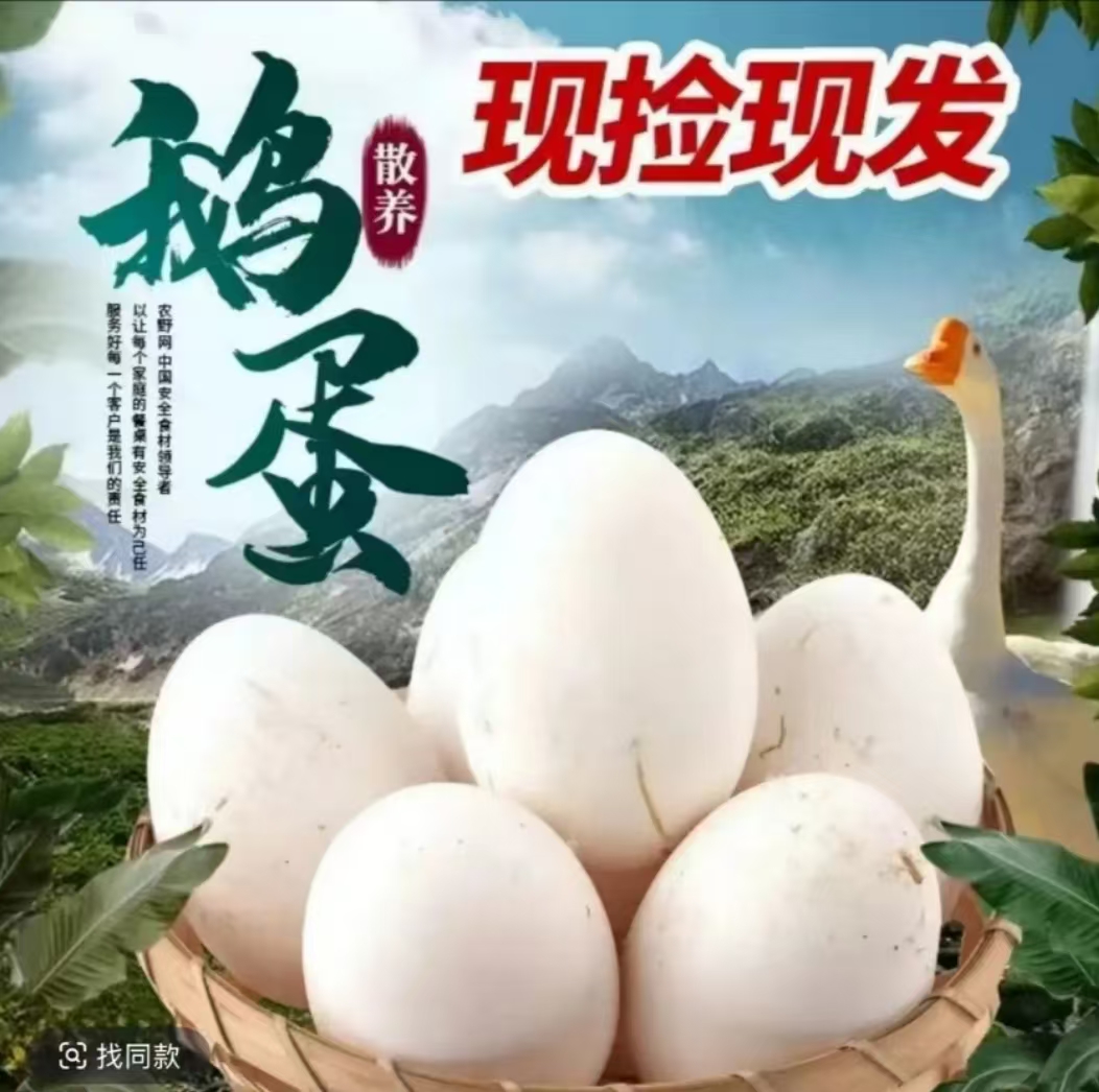 【买十枚送十枚】土鹅蛋农家散养雁鹅蛋新鲜现捡（番薯专属）