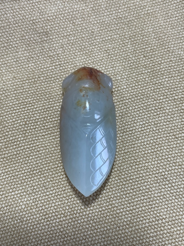 和田玉的一个玉蝉