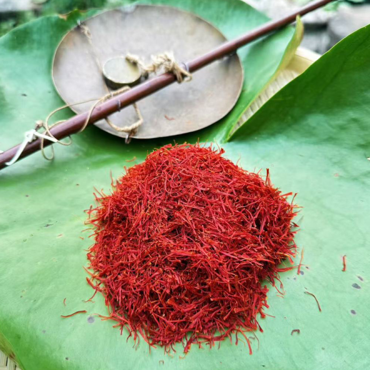 伊朗高山半野生头茬藏红花香气浓郁