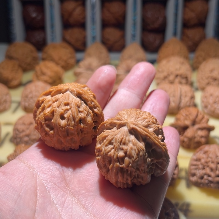 七***风文玩核桃吊坠白狮子40