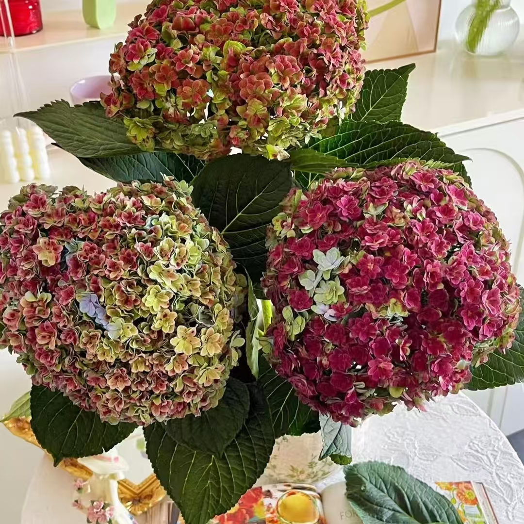 【福袋】任意花材或者花瓶一份~