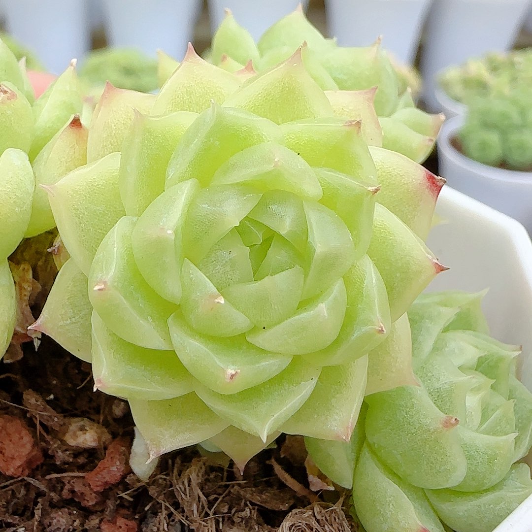 N****【闪购商品】0630-29（m1-22）