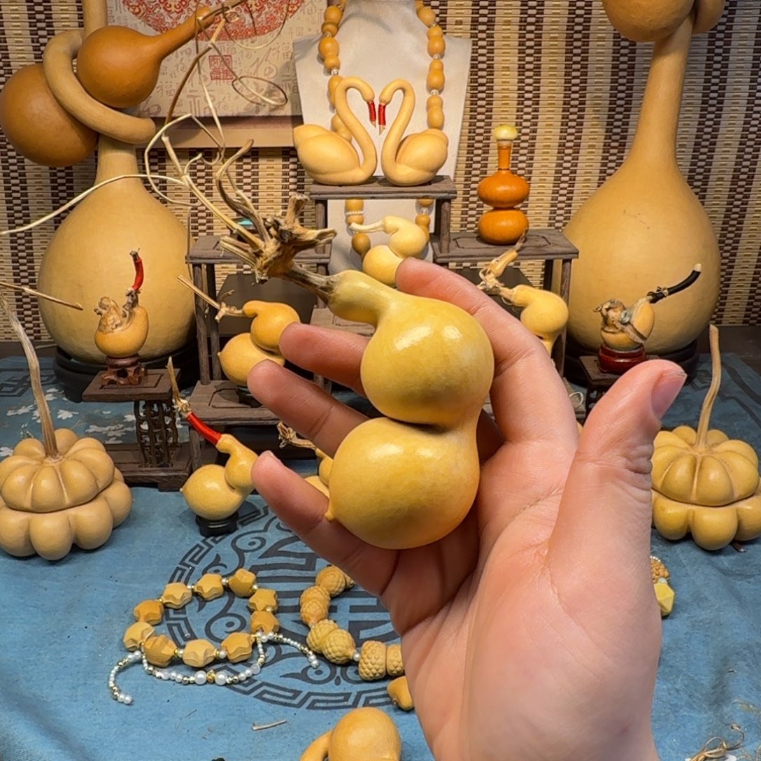 安***奕手把蚂蚁弓背贴肚