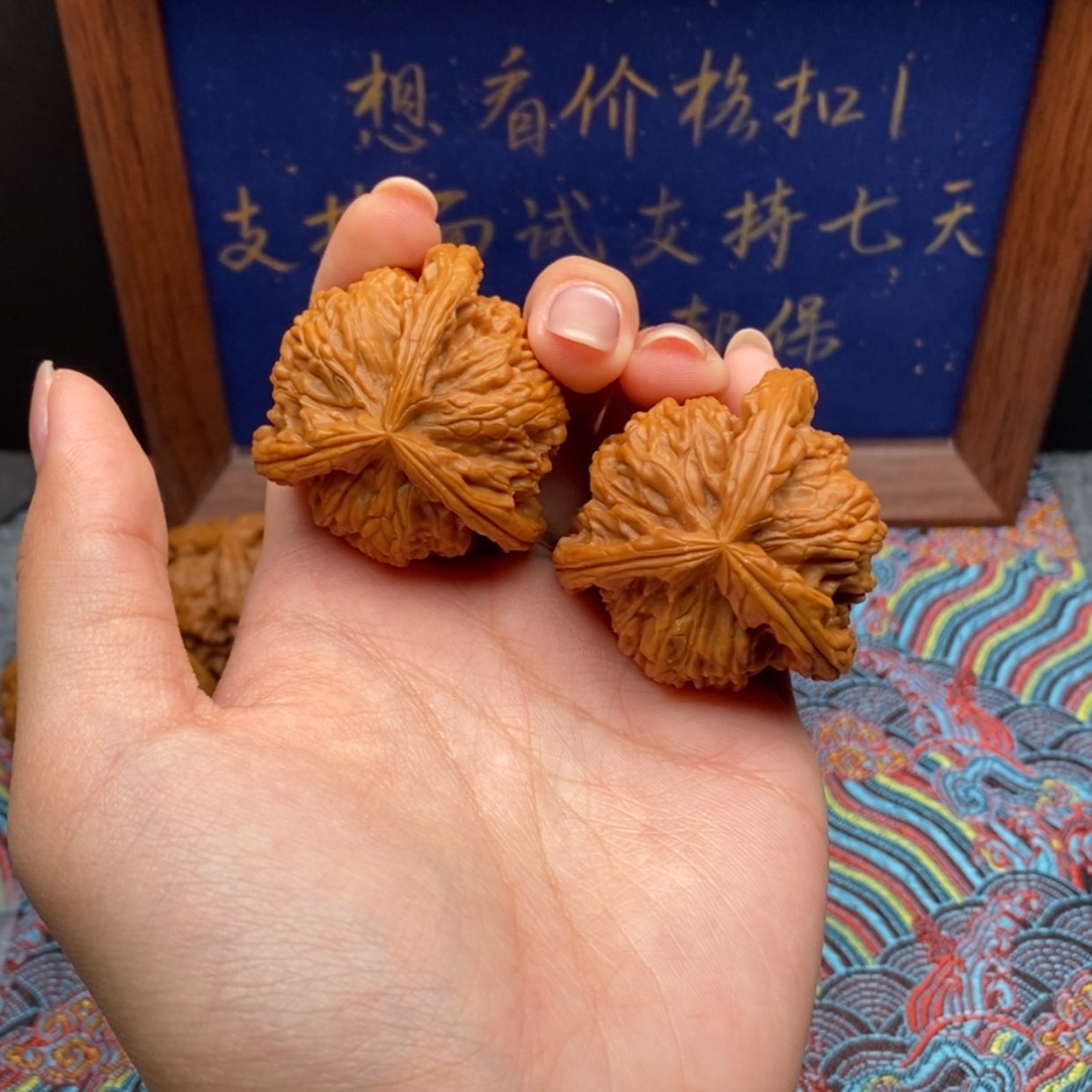 【闪购商品】【****】白狮