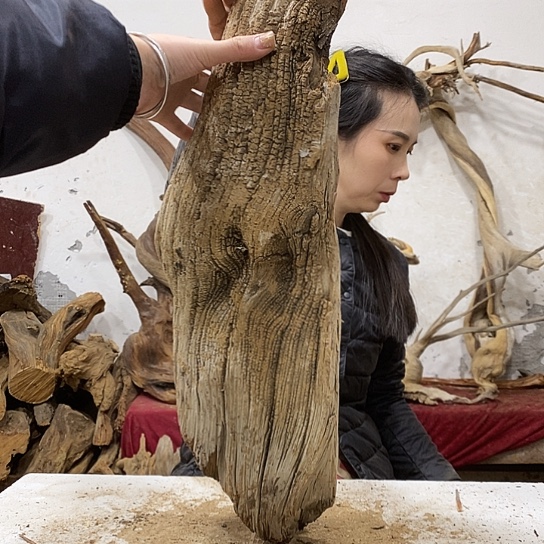 壹***堂柏木我们都是好孩子