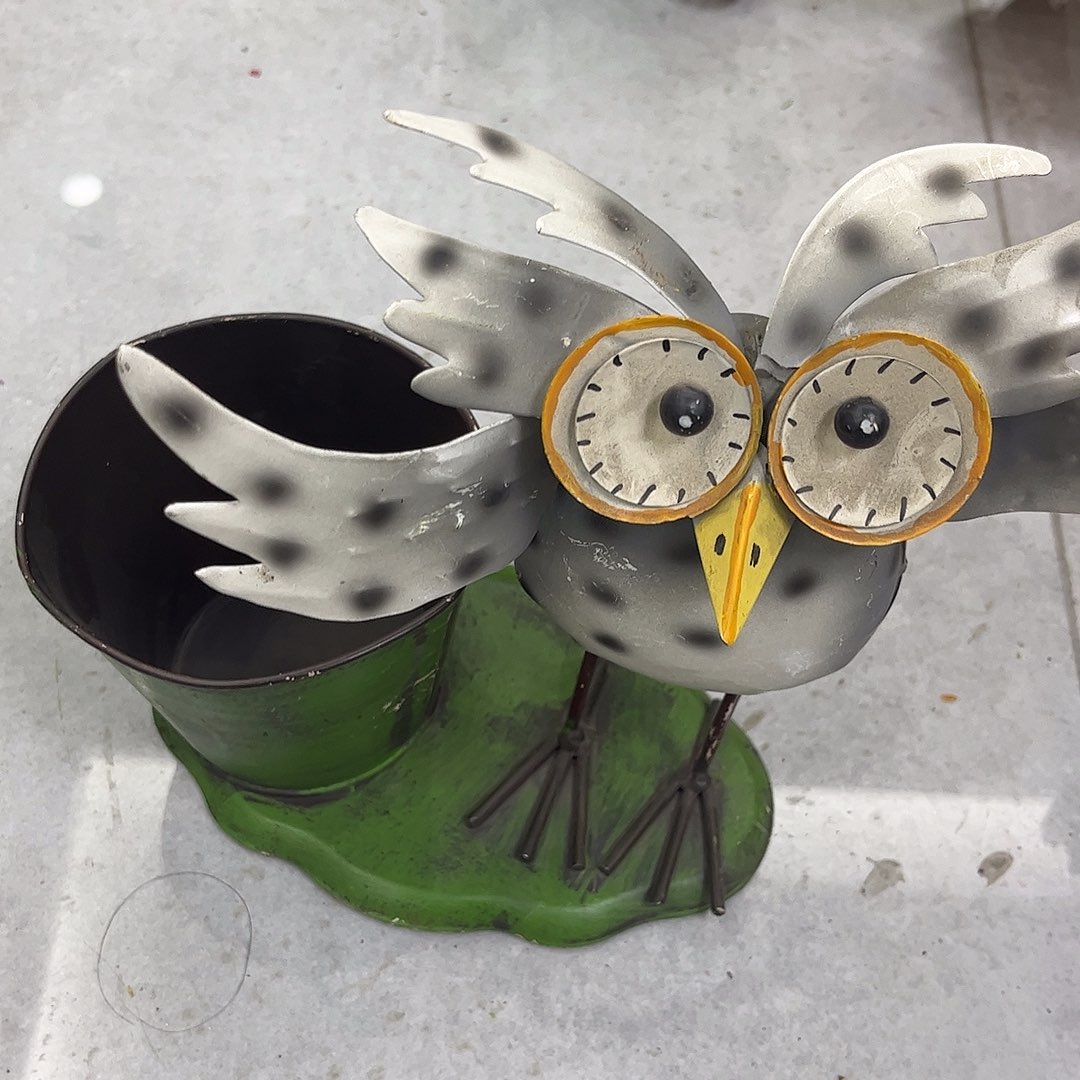 孤品给力哈哈哈哈哈