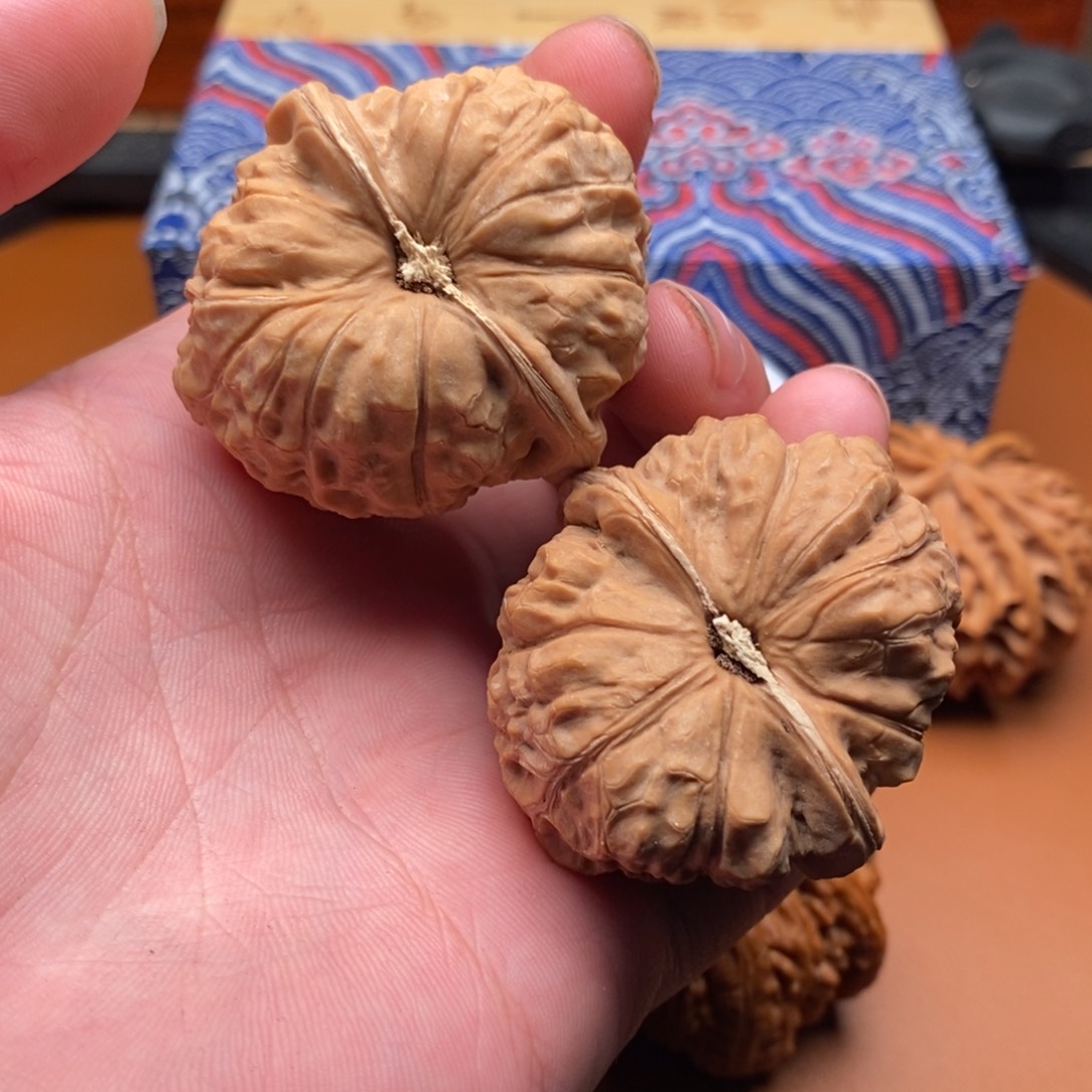 个银行卡和哥哥反复听