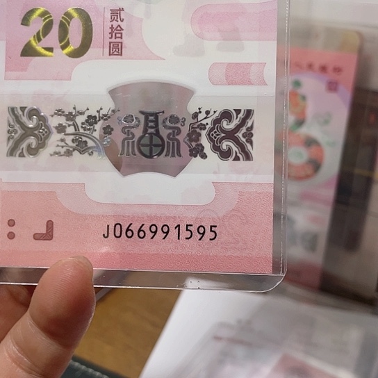 塑料2025年蛇年纪念钞如图所示