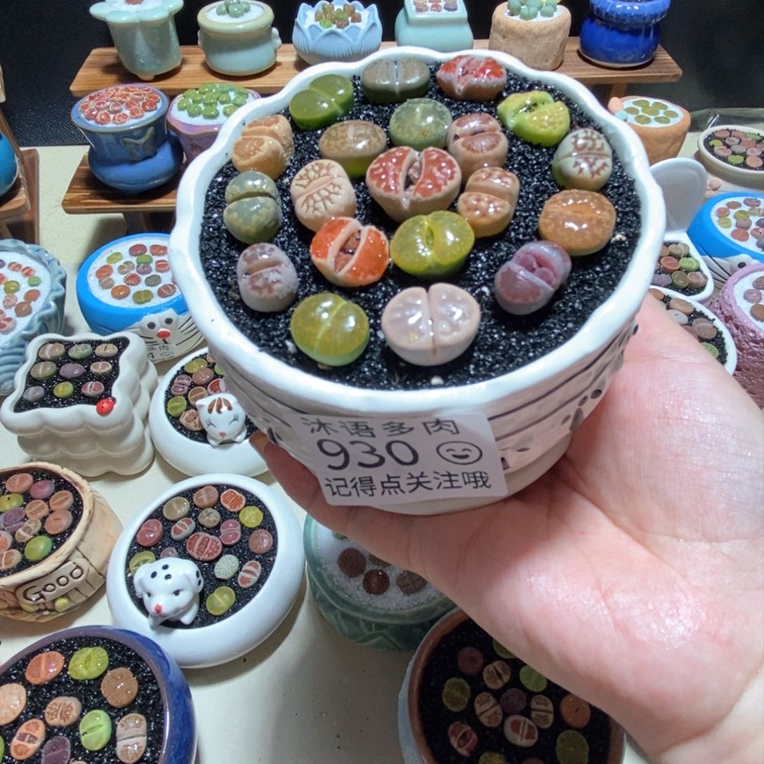 所见即所得 一物一拍930