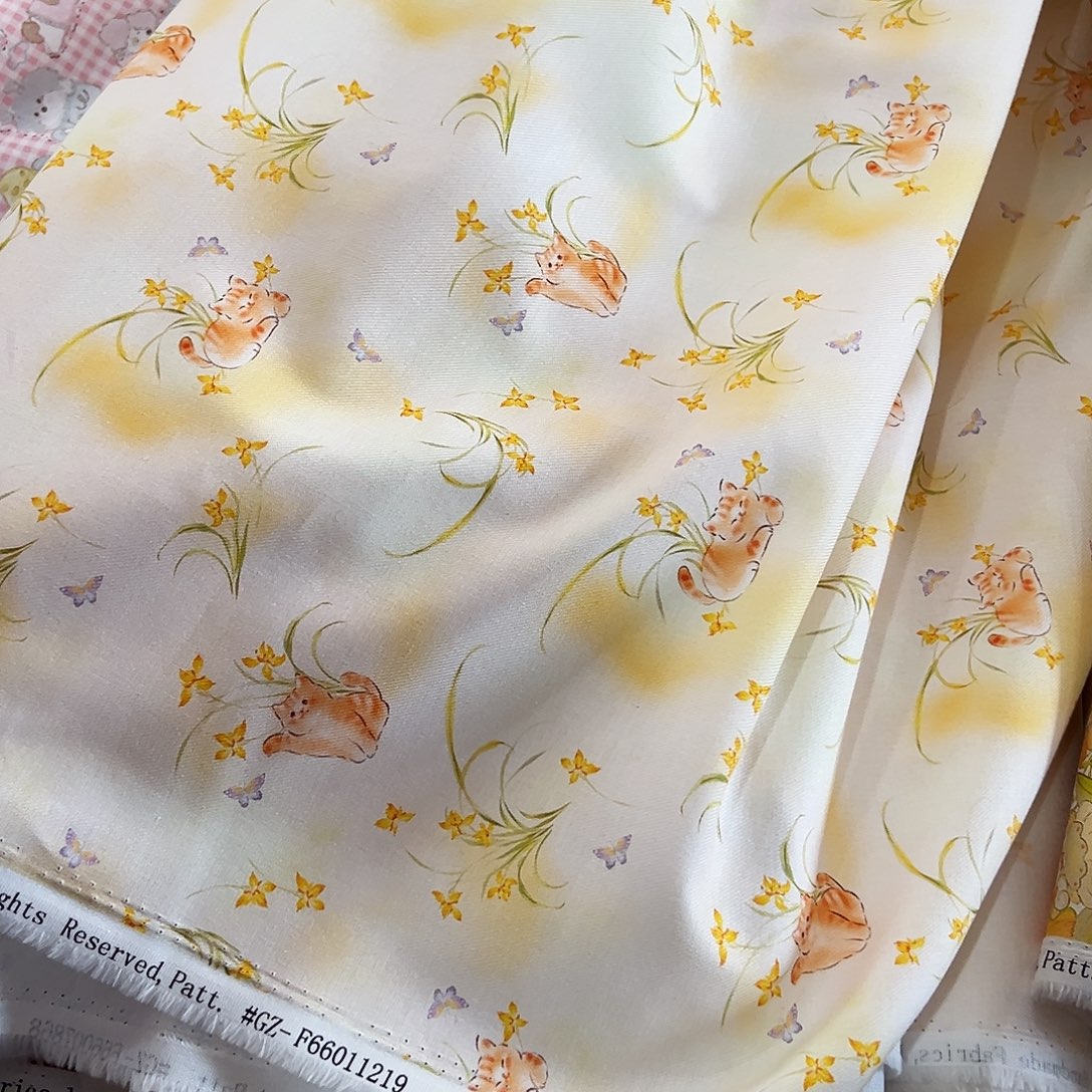 棉一米价纯棉21支斜纹1.5米宽果子C