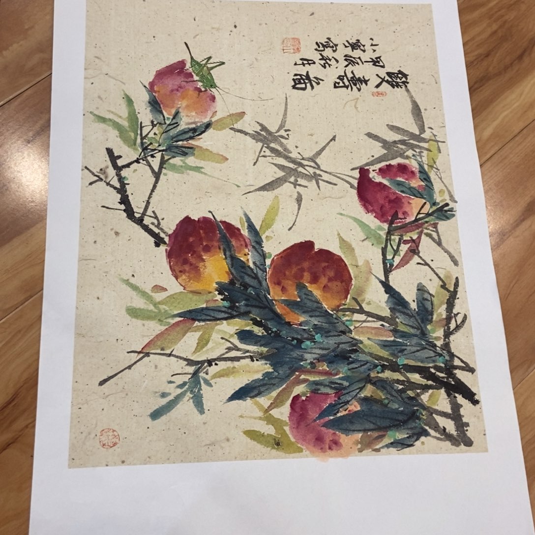 【闪购商品】国画风*墨鱼精品墨鱼精品