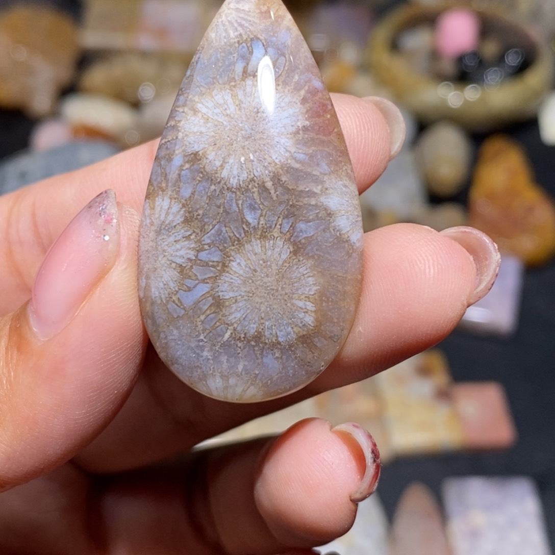 【闪购商品】硅化玉珊瑚玉未镶嵌