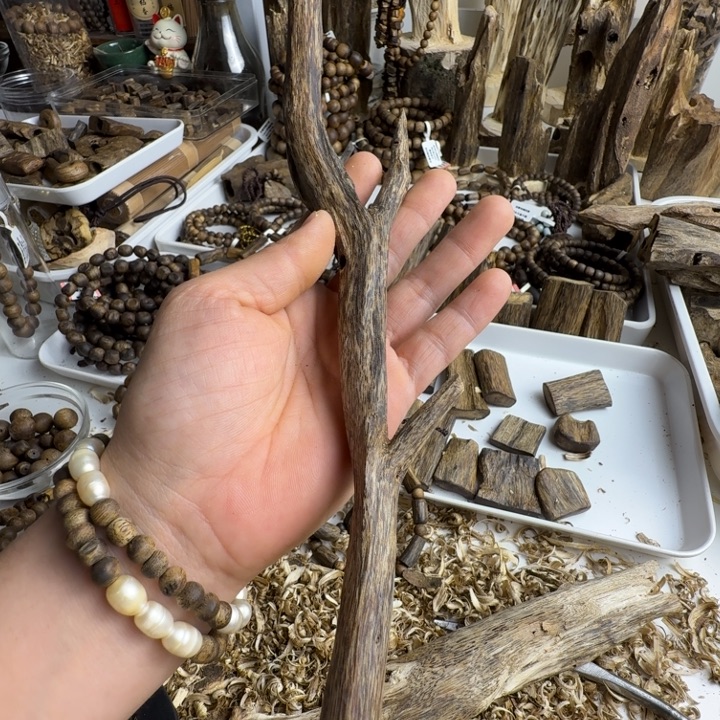 沉香沉香碎屑奇楠沉香原材料树枝条29克重