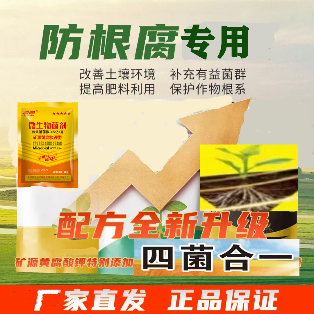 微生物菌剂进口技术枯草芽孢杆菌源头厂家四菌合一缕圆改良土壤