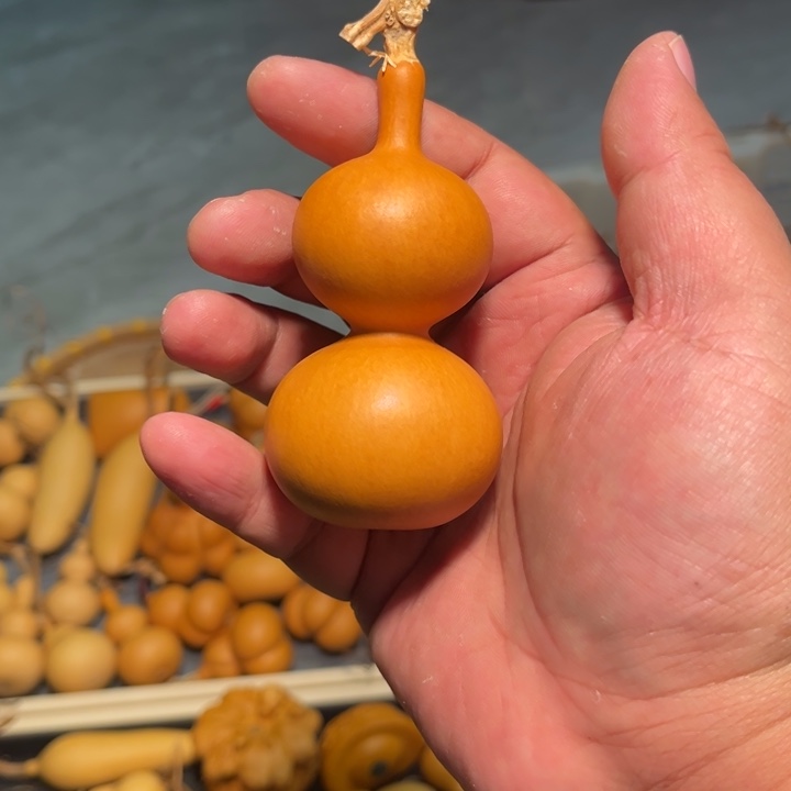 刘*阳葫芦葫芦葫芦葫芦