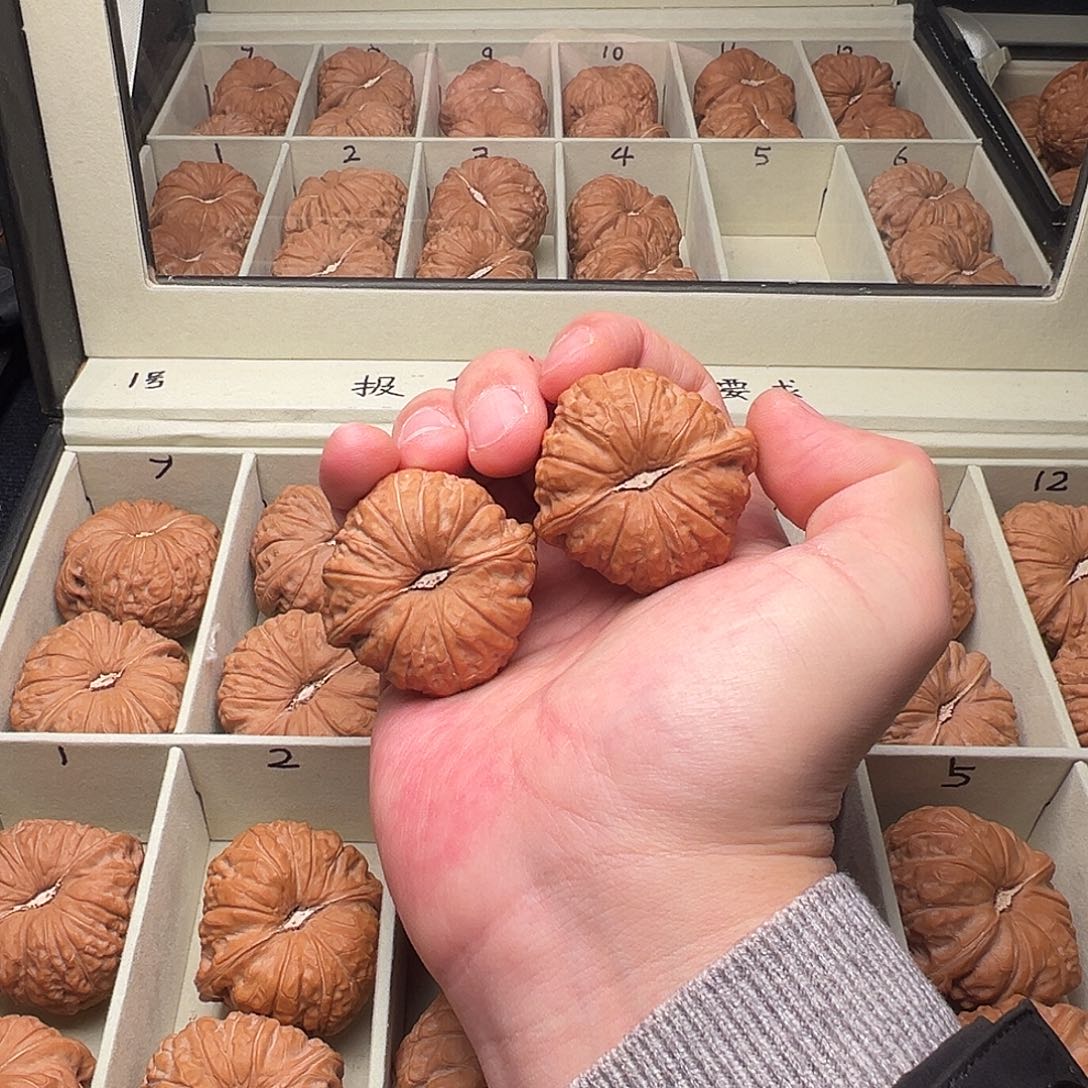 王***.吊坠文玩核桃1126王不留行