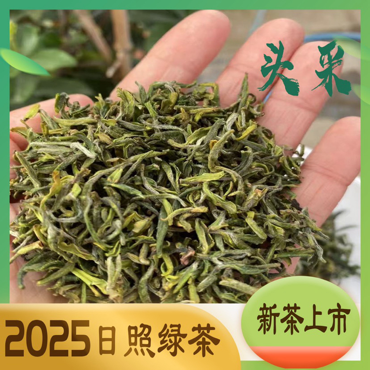2025山东日照绿茶春茶头采新茶鲜爽耐泡特级板栗香罐装明前嫩芽