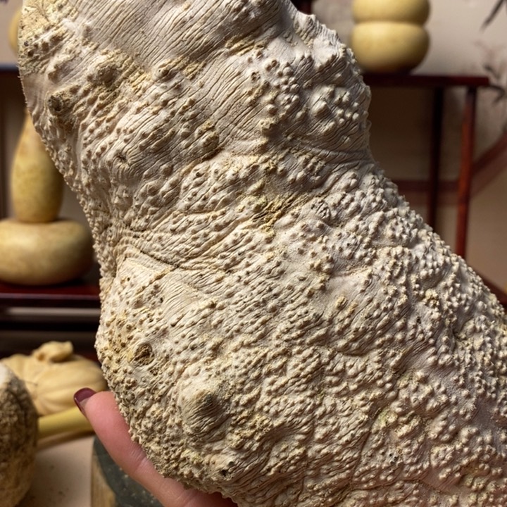 香榧木睛**李黄杨木手把件