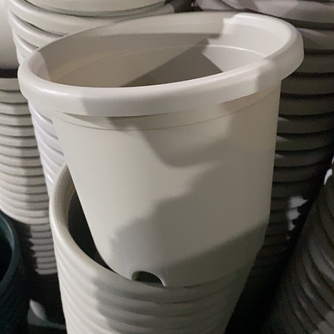 树脂四季3号微瑕灰白无托10个