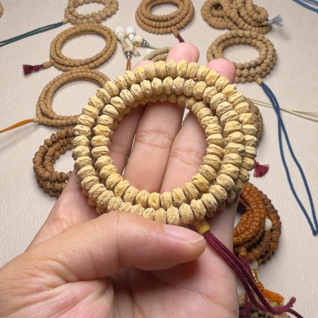 吊坠柏香籽/百香籽藏横切