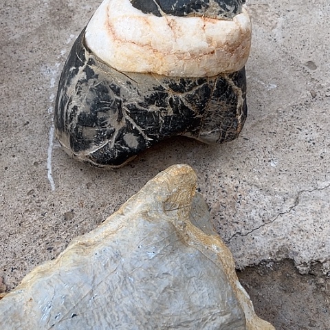 梦**真家居装修效果图