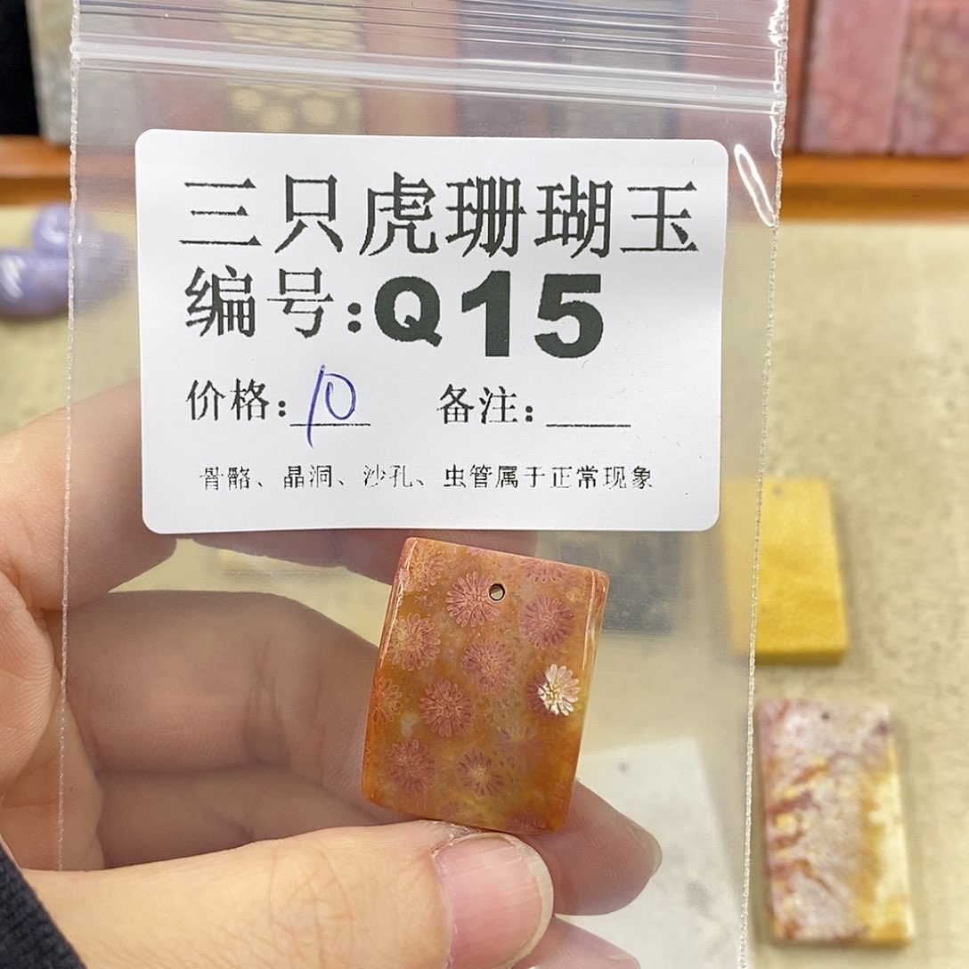 硅化珊瑚（珊瑚玉）1未镶嵌没****哈