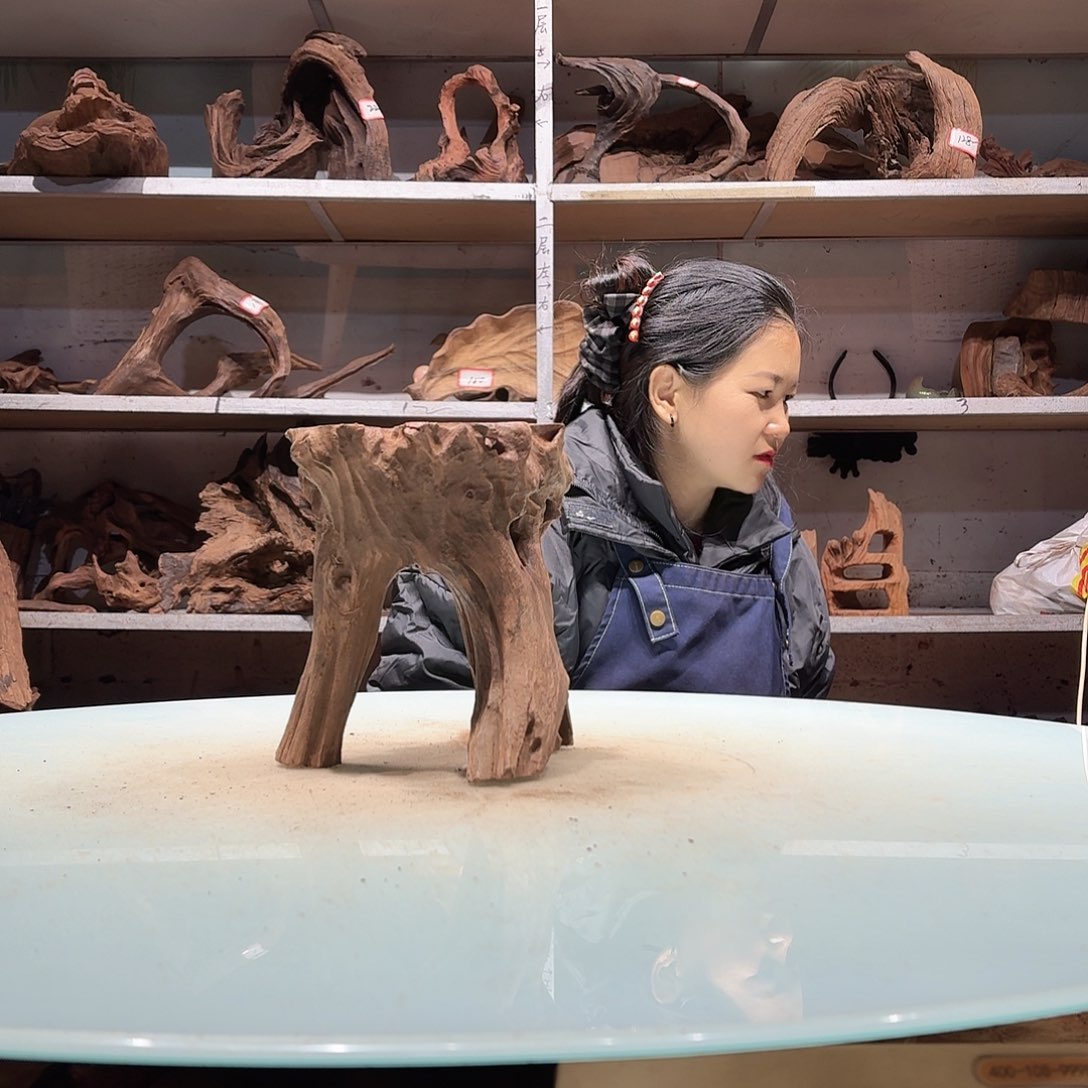 倍诸沉木不包去必褪色M****97047