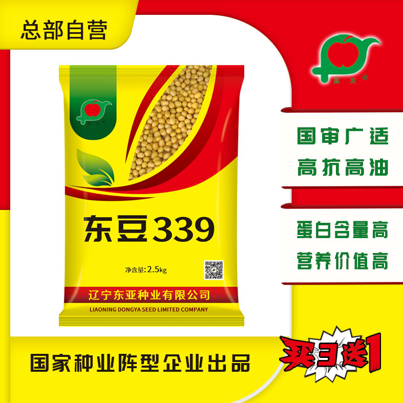 东豆339 2.5kg 国审广适褐脐抗倒伏高油高蛋白营养价值高