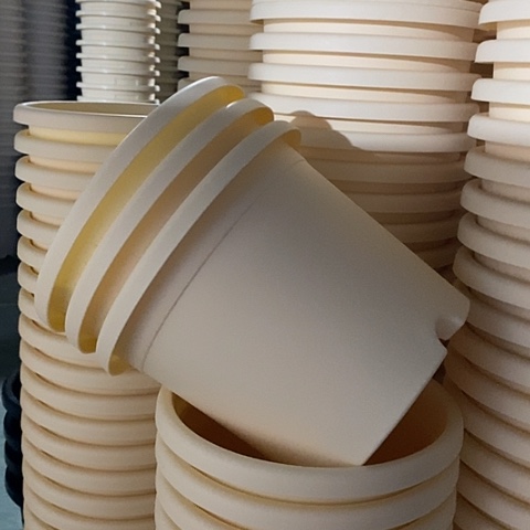 特价3#无托米黄10