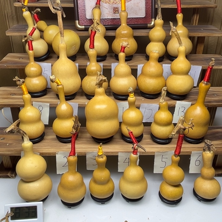 五****啦啦啦啦啦啦啦啦啦