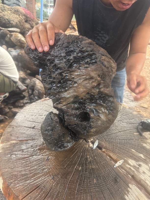 民间使用风化木阴沉木