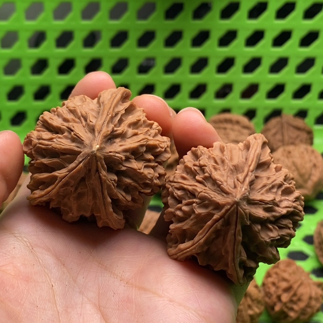 俗***蜕核桃定制商品不退不换