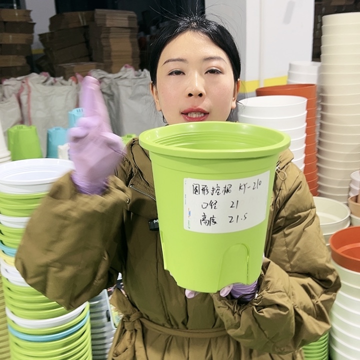 正品圆控口21高21果绿8只无托