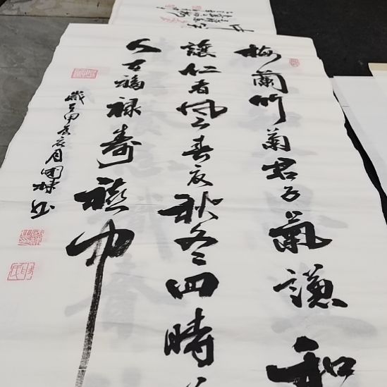 翰墨申国栋老师作品一副