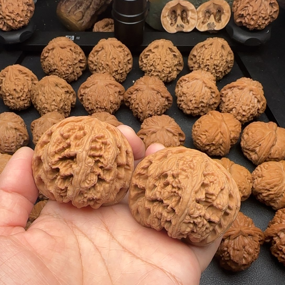 51尺微黄尖大粗筋