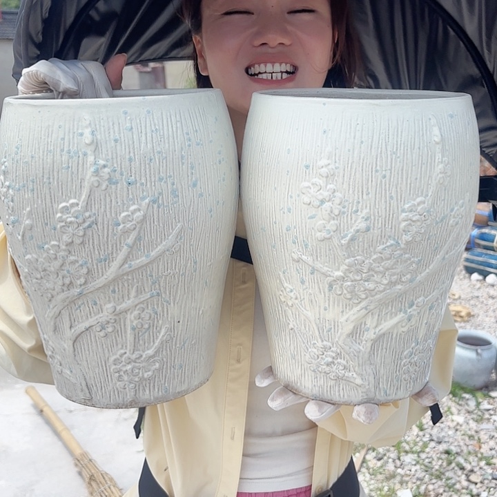 两个白梅花收口两个