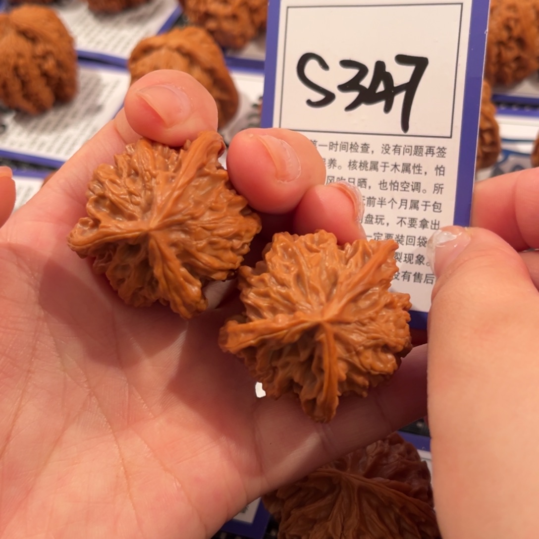 核桃S347号盘山三棱38尺