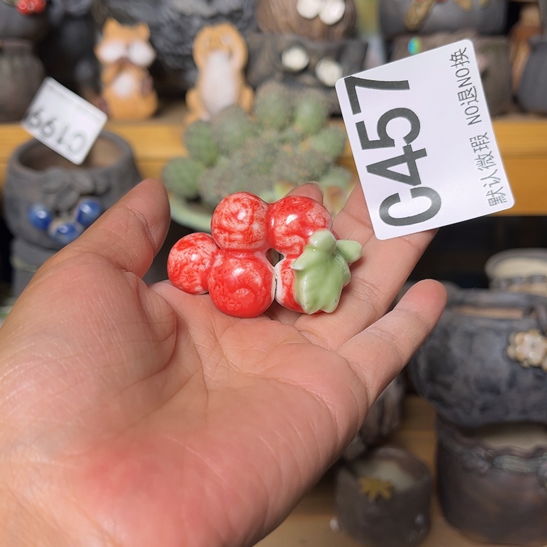 哈哈#你好开心的一457