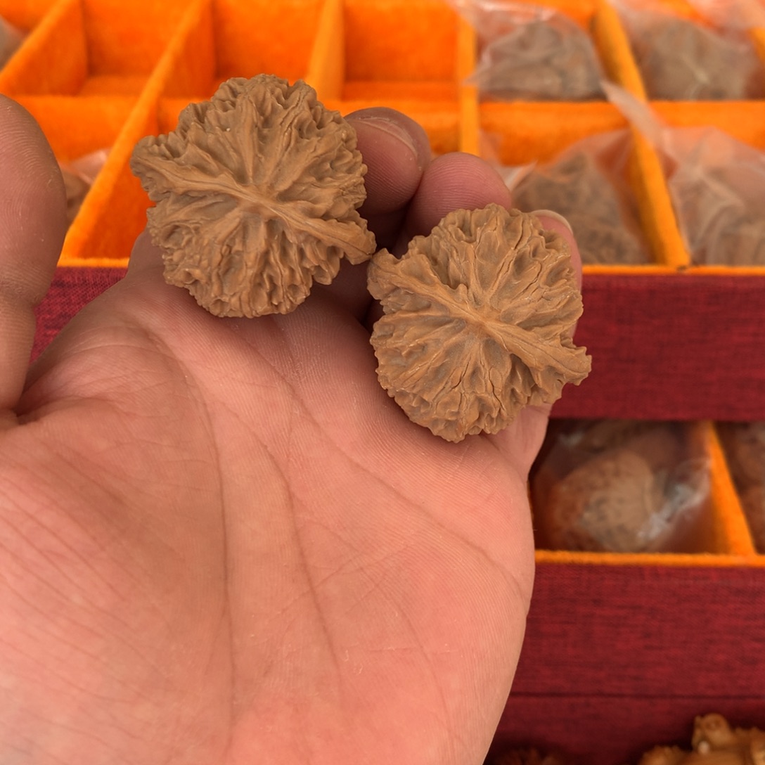 尺寸41.5山地高桩苹果园平安果