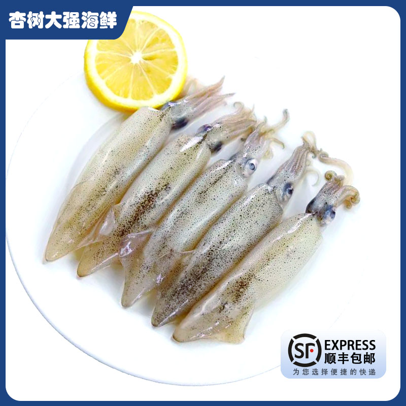 全母 籽乌 笔管鱼  顺丰发货