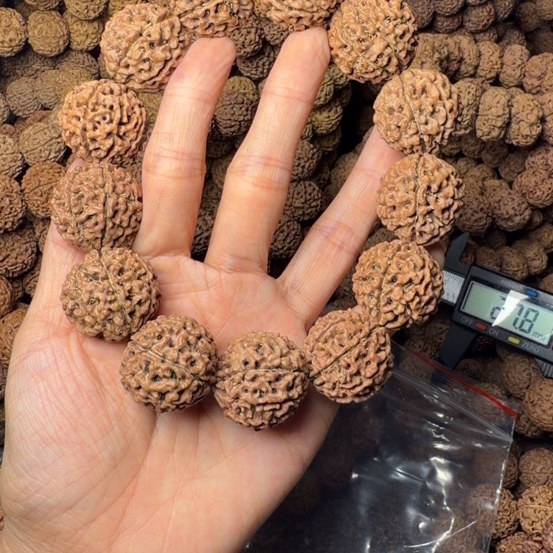 手串金刚菩提8瓣卡25尺长，41号