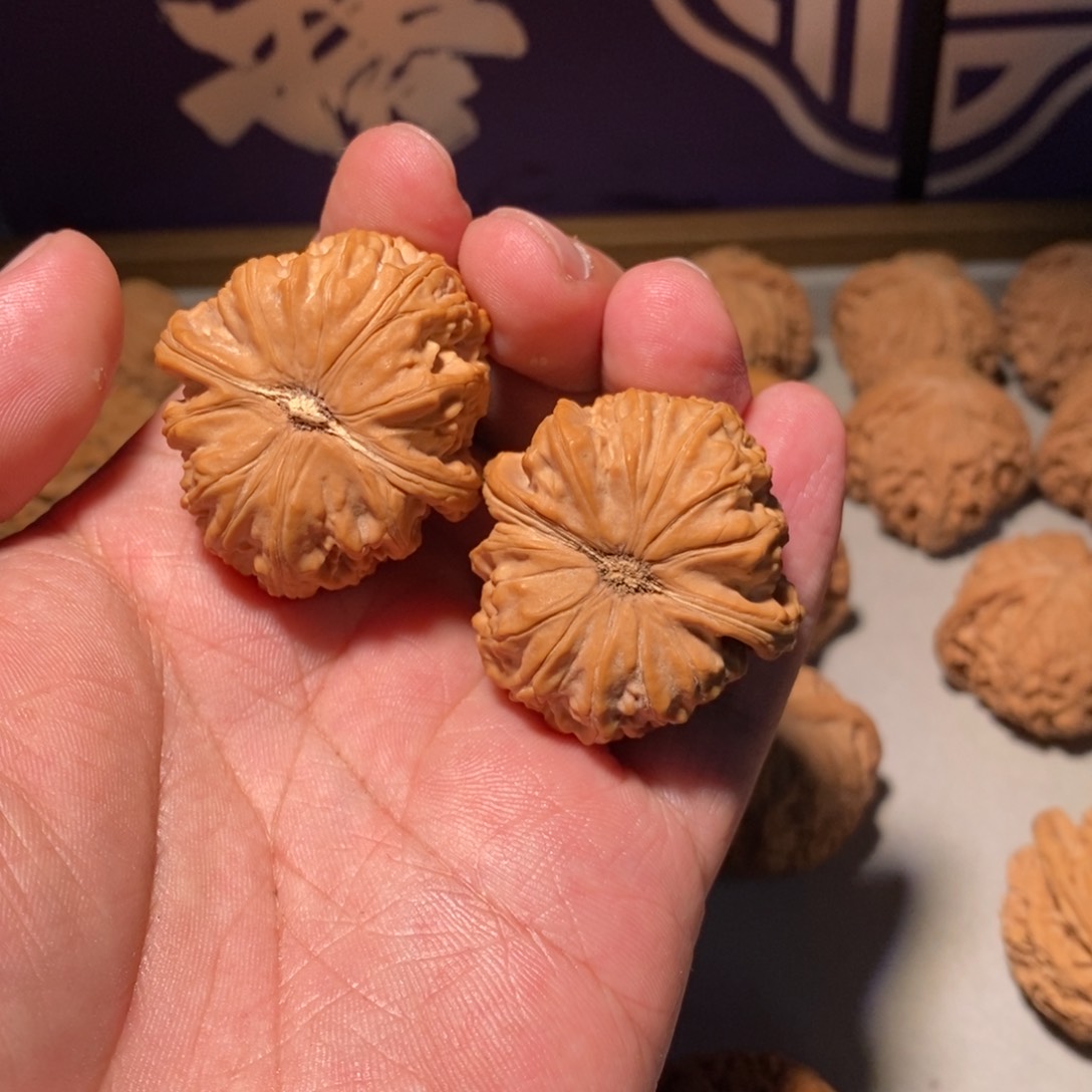 把件核桃3*℃37全品白狮子