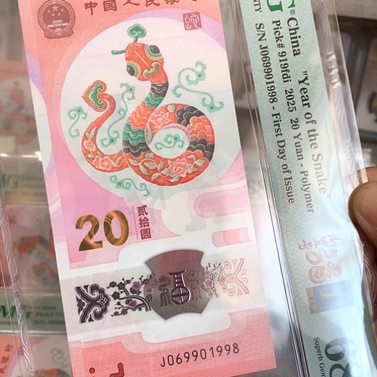塑料金倒置1998蛇鈔年份号