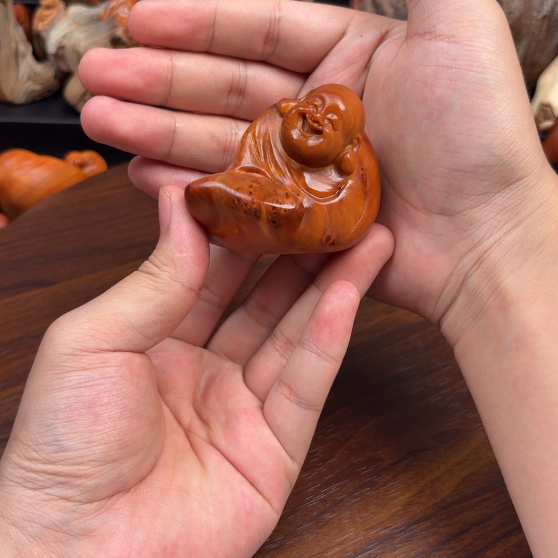 舍***得柏木（崖柏）太行崖柏