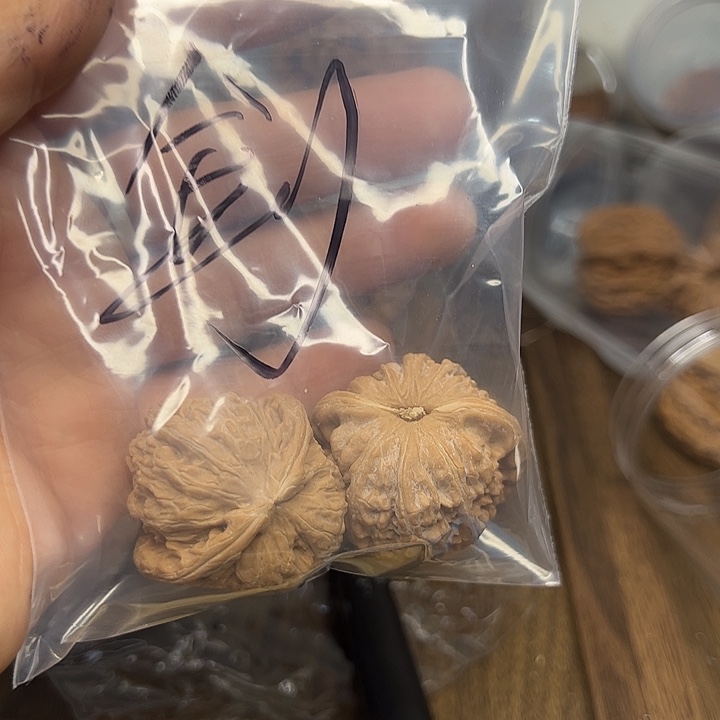 釗***.桃核吊坠三角白核桃