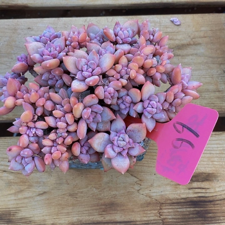 这个点吃晚饭真的要人