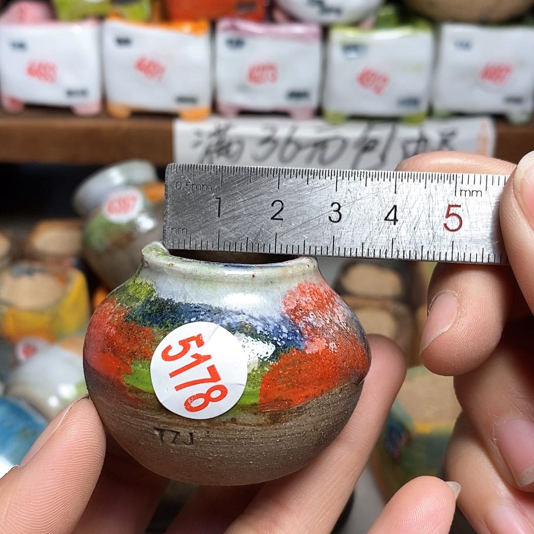 红陶拍5送一个小